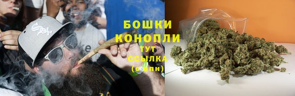 дурь Карпинск