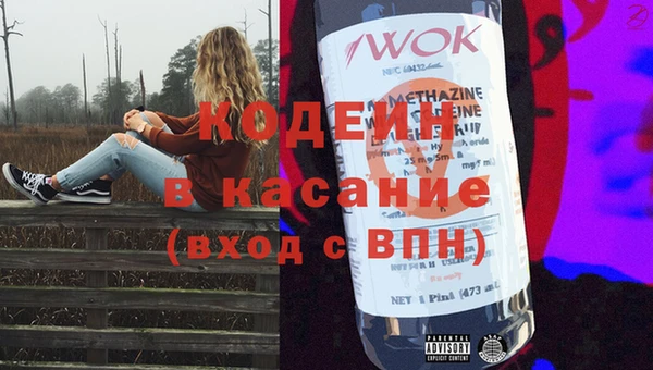 дурь Карпинск