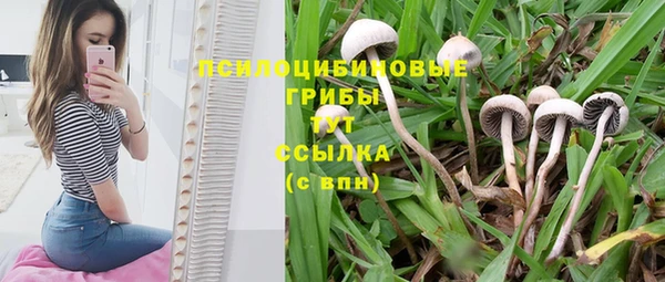 не бодяженный Карталы