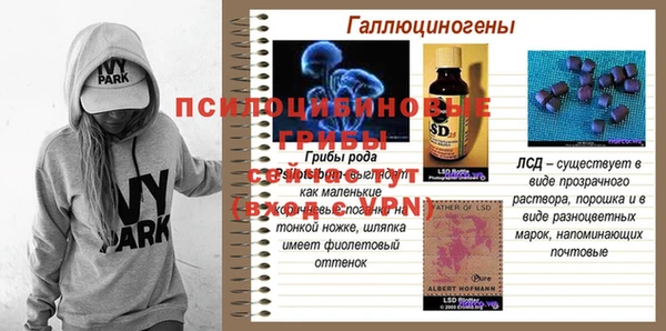 стаф Киреевск
