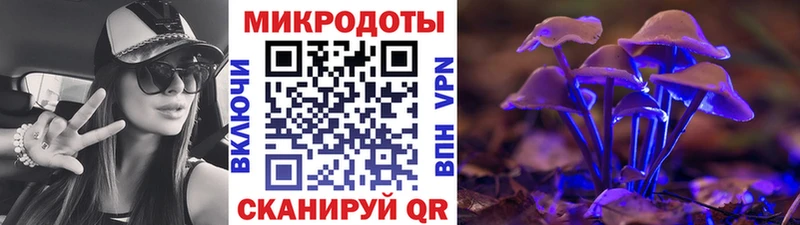 Купить  Тетюши  Псилоцибиновые грибы Cubensis 